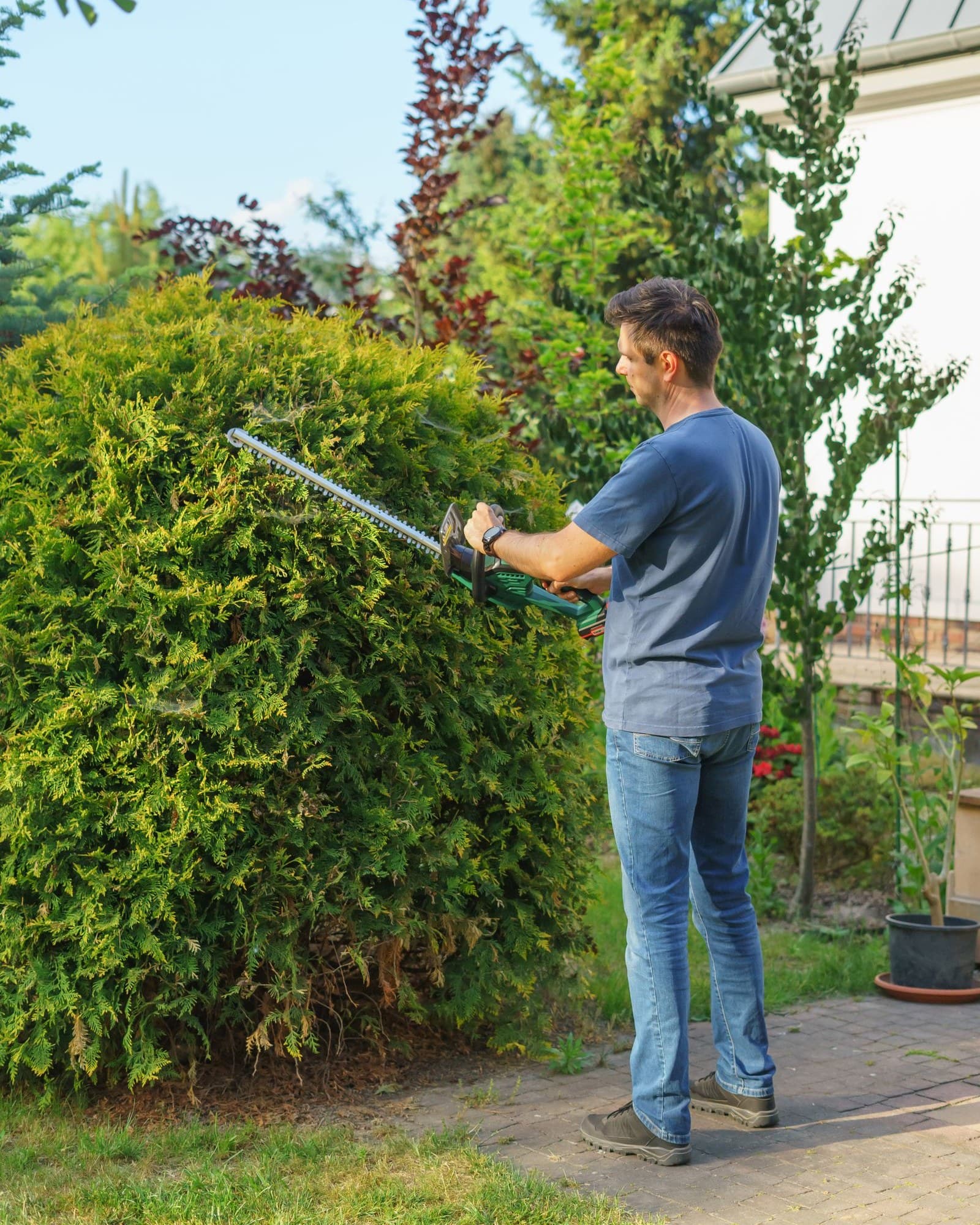 A helper trimming a garden hedge with shears